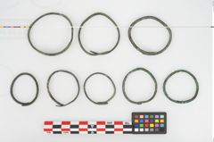 Foto von Bronzering (NHMW-PRAE-026627)